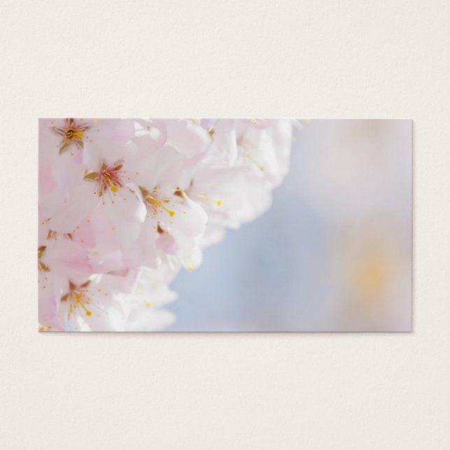 Cartes De Visite Fleurs de cerisiers neigeux (Devant)