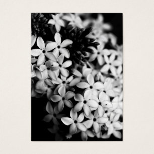 Cartes De Visite Fleurs noires et blanches
