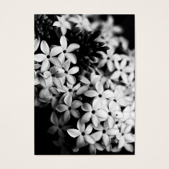 Cartes De Visite Fleurs noires et blanches (Devant)