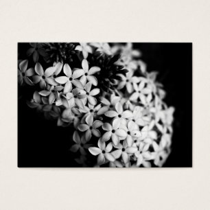 Cartes De Visite fleurs noires et blanches