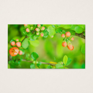 Cartes De Visite Fleurs vertes et rouges fraîches