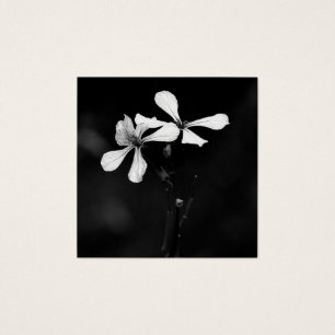 Cartes De Visite floral noir et blanc minimal