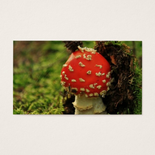 Cartes De Visite Fly agaric (Devant)