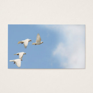Cartes De Visite Four flying doves