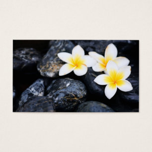 Cartes De Visite Frangipani flowers