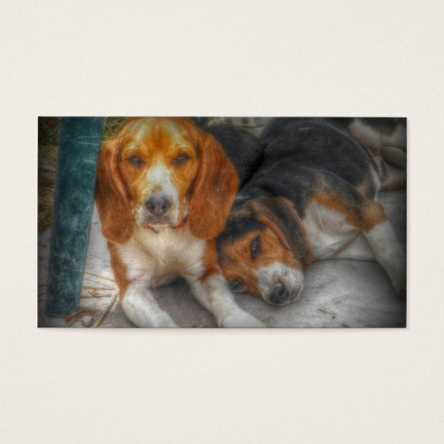 Cartes De Visite Frères beagles (Devant)