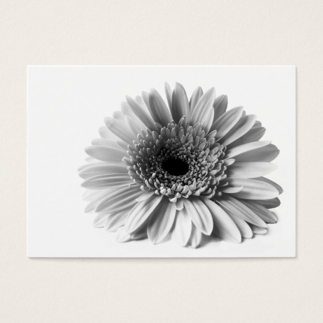 Cartes De Visite Gerbera (Devant)