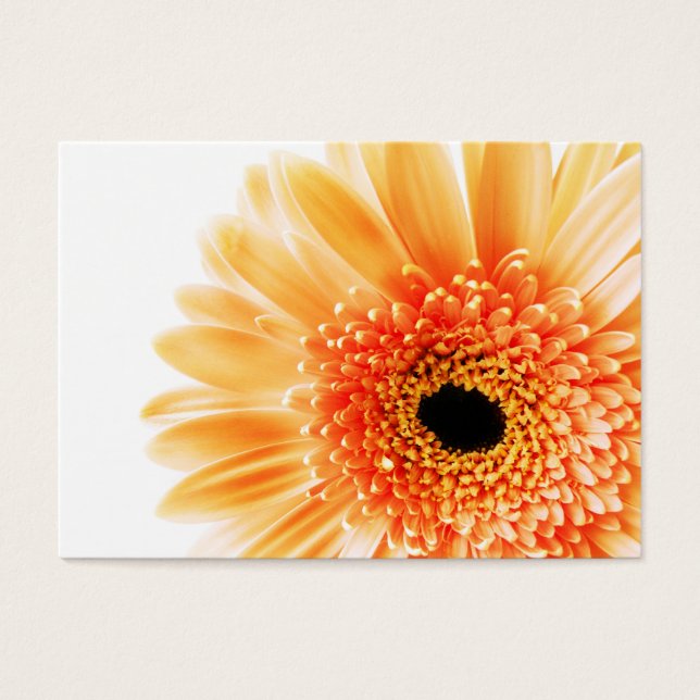 Cartes De Visite Gerbera (Devant)