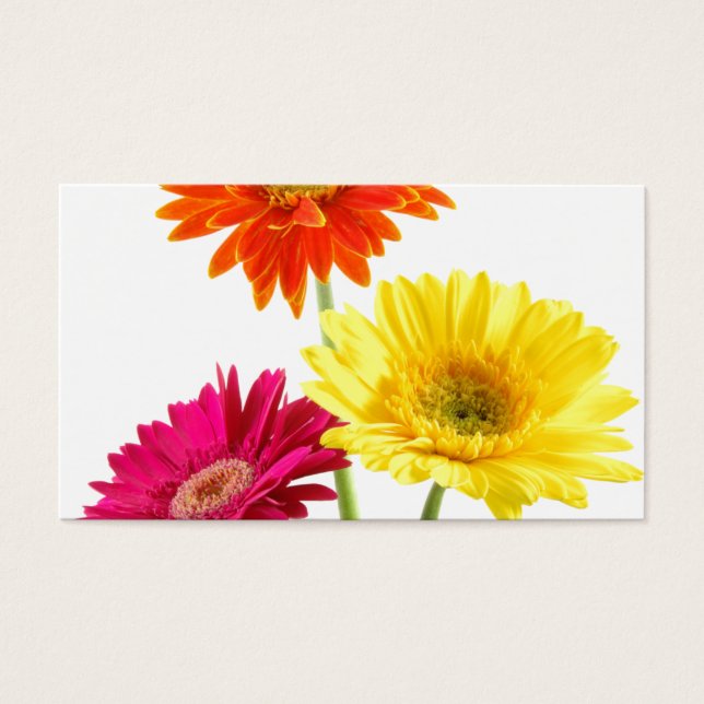 Cartes De Visite Gerbera Daisies (Devant)