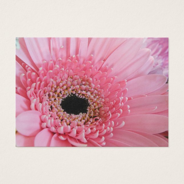 Cartes De Visite Gerbera Daisy (Devant)