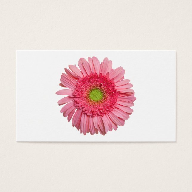 Cartes De Visite Gerbera Rose Daisy (Devant)