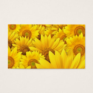 Cartes De Visite Gisements jaunes de tournesol