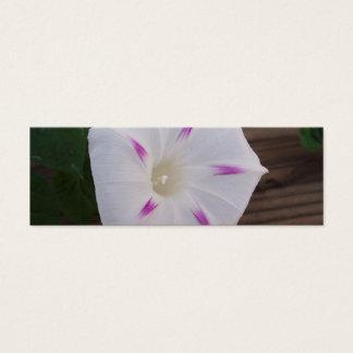 Cartes De Visite Glory White Signet du matin