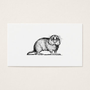 Cartes De Visite Gopher