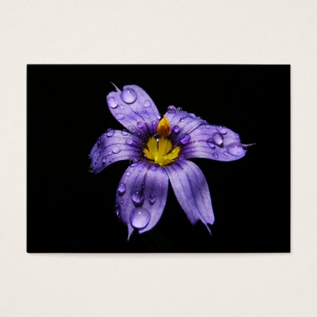 Cartes De Visite Grass bleu teint ~ ATC (Devant)