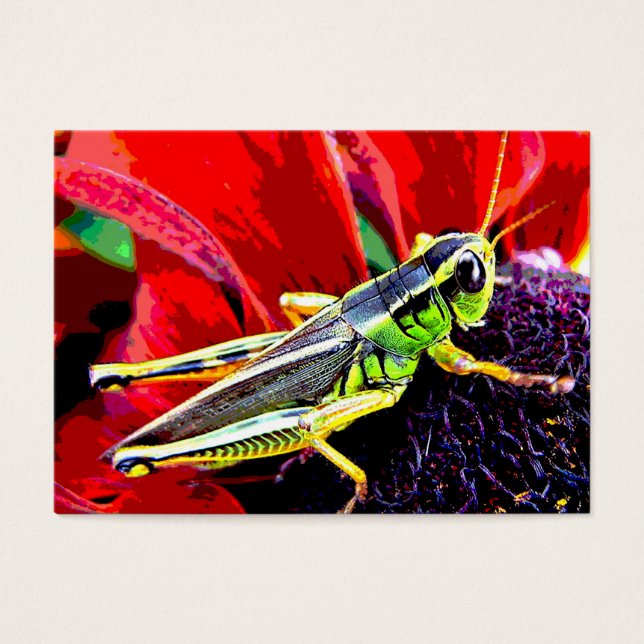 Cartes De Visite Grasshopper ATC (Devant)