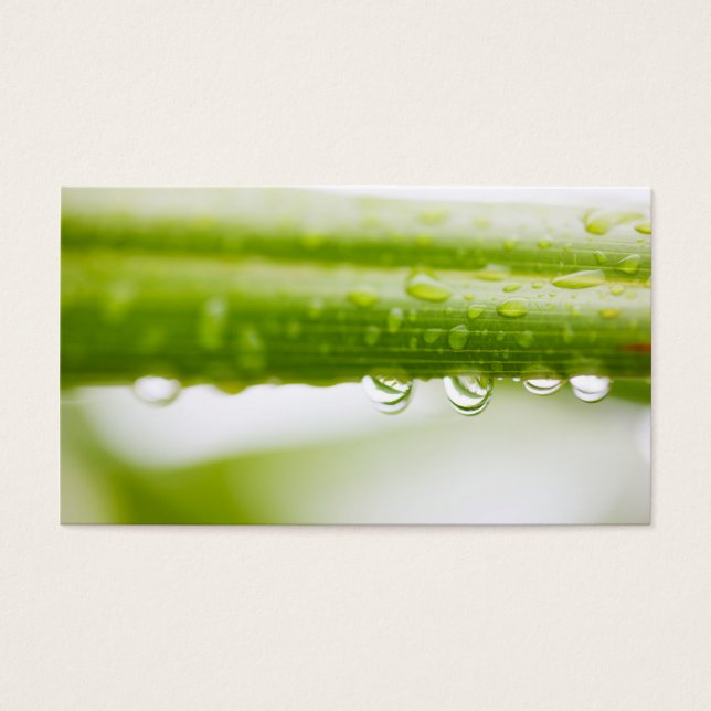 Cartes De Visite Green leaves background (Devant)