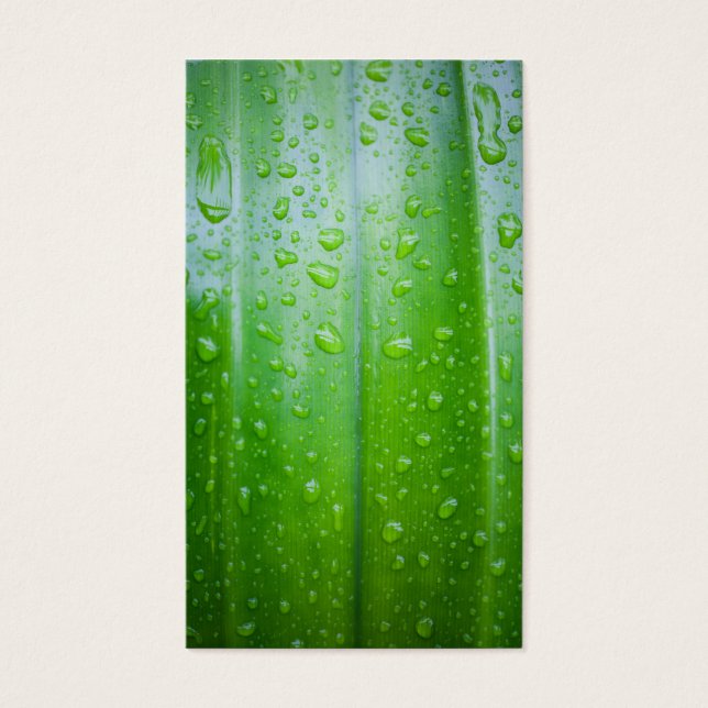 Cartes De Visite Green leaves background (Devant)