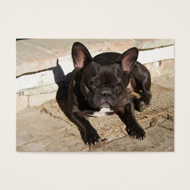 Cartes De Visite Grouchy French Bulldog (Devant)