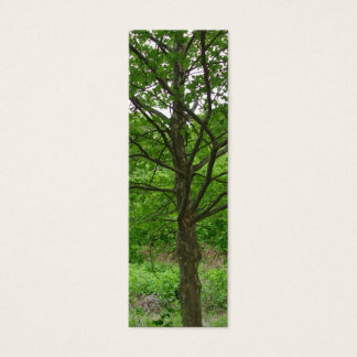 Cartes De Visite Haut Signet d'arbre