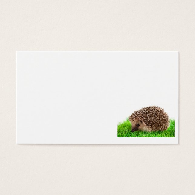 Cartes De Visite hedgehog (Devant)