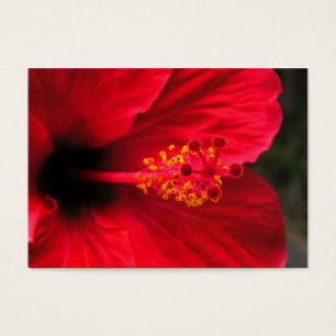 Cartes De Visite Hibiscus rouge