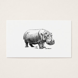 Cartes De Visite Hippopotame