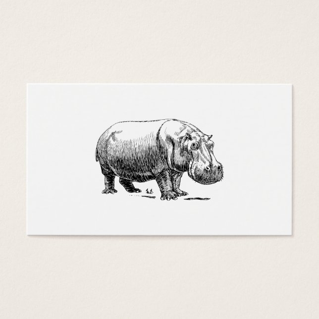 Cartes De Visite Hippopotame (Devant)