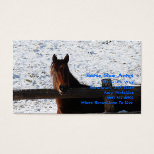 Cartes De Visite Hivernal Horse Bay Horse Surplombe la clôture Neig