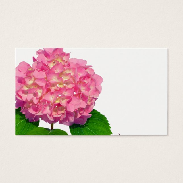 Cartes De Visite Hydrangée rose rose fleur rose (Devant)