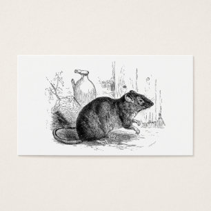 Cartes De Visite Illustration Brown de rats de rat de grange de