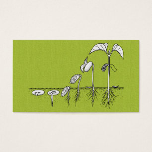 Cartes De Visite Illustration de germination de plante