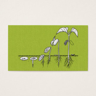 Cartes De Visite Illustration de germination plante