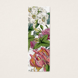 Cartes De Visite Illustrations botaniques vintages