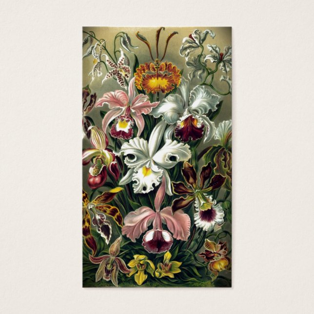 Cartes De Visite Impression botanique des orchidées (Devant)