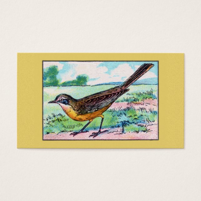 Cartes De Visite Impression vintage d'oiseaux de queue de givre (Devant)