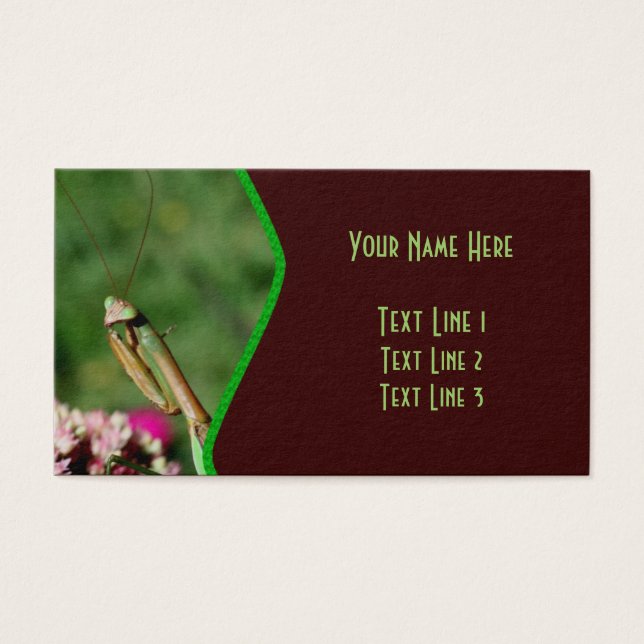 Cartes De Visite Insect Nature (Devant)