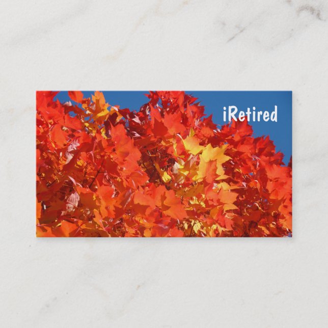 Cartes de visite iRetired Aimant la vie S'amuser (Devant)