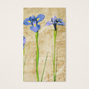 Cartes De Visite Iris antiques - personnaliser vintage d'arrière -