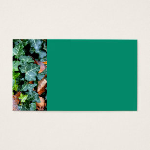 Cartes De Visite Ivy botanique vert et pierre de campagne