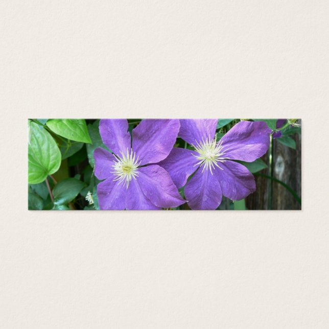 Cartes De Visite Jackmanii Clematis (Devant)