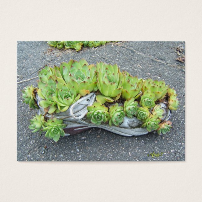 Cartes De Visite Jardinage des conteneurs ~ ATC (Devant)