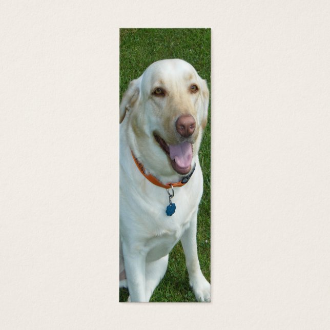Cartes De Visite Jaune Labrador Retriever Signet avec initiales (Devant)