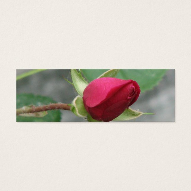 Cartes De Visite Joli Signet Rose (Devant)