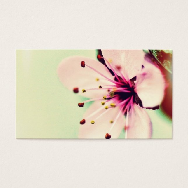 Cartes De Visite Jolie fleur de cerisier (Devant)