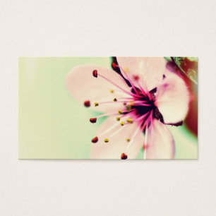 Cartes De Visite Jolies fleurs de cerisier