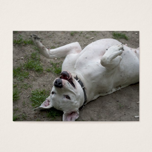 Cartes De Visite Jouer Dogo Argentino (Devant)