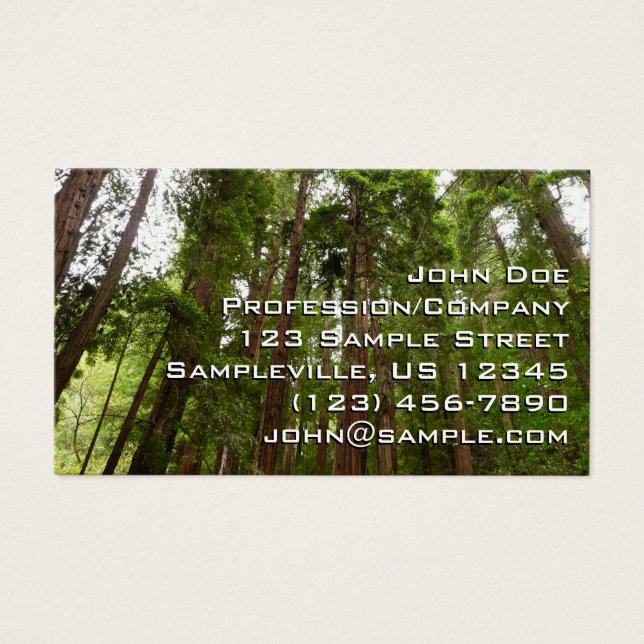 Cartes De Visite Jusqu'à Redwoods I au monument national de Muir Wo (Devant)