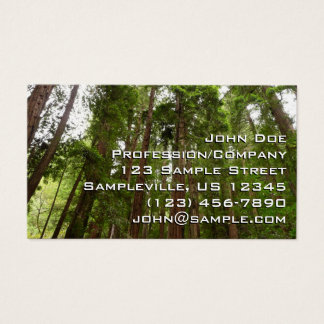 Cartes De Visite Jusqu'aux séquoias I à Muir Woods National Monumen
