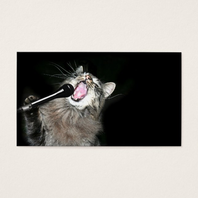 Cartes De Visite Karaoke (Devant)